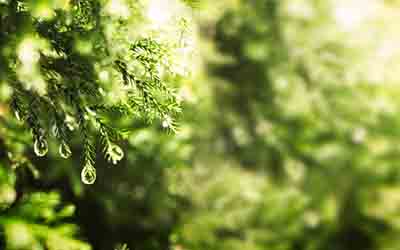 Kleine beweging, grote impact